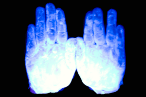 Glovirus
