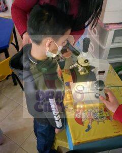 El mudo por descubrir a través del microscopio