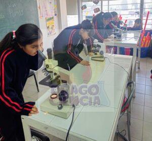Viendo a través de microscopio